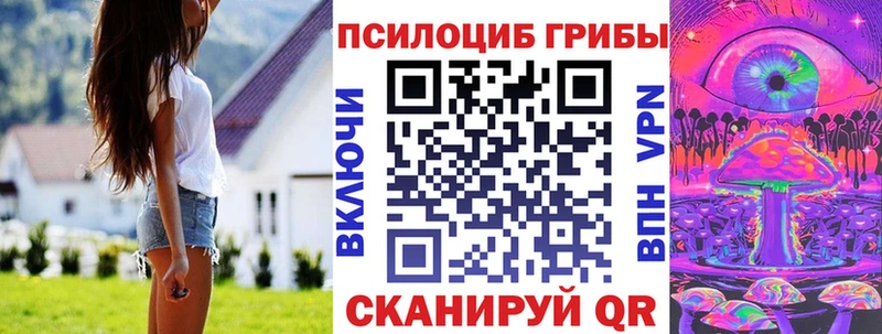 Галлюциногенные грибы Cubensis Ленинск-Кузнецкий